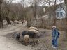 kokasan1.JPG - 